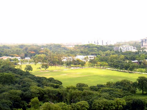 a large green field surrounded by trees and buildings