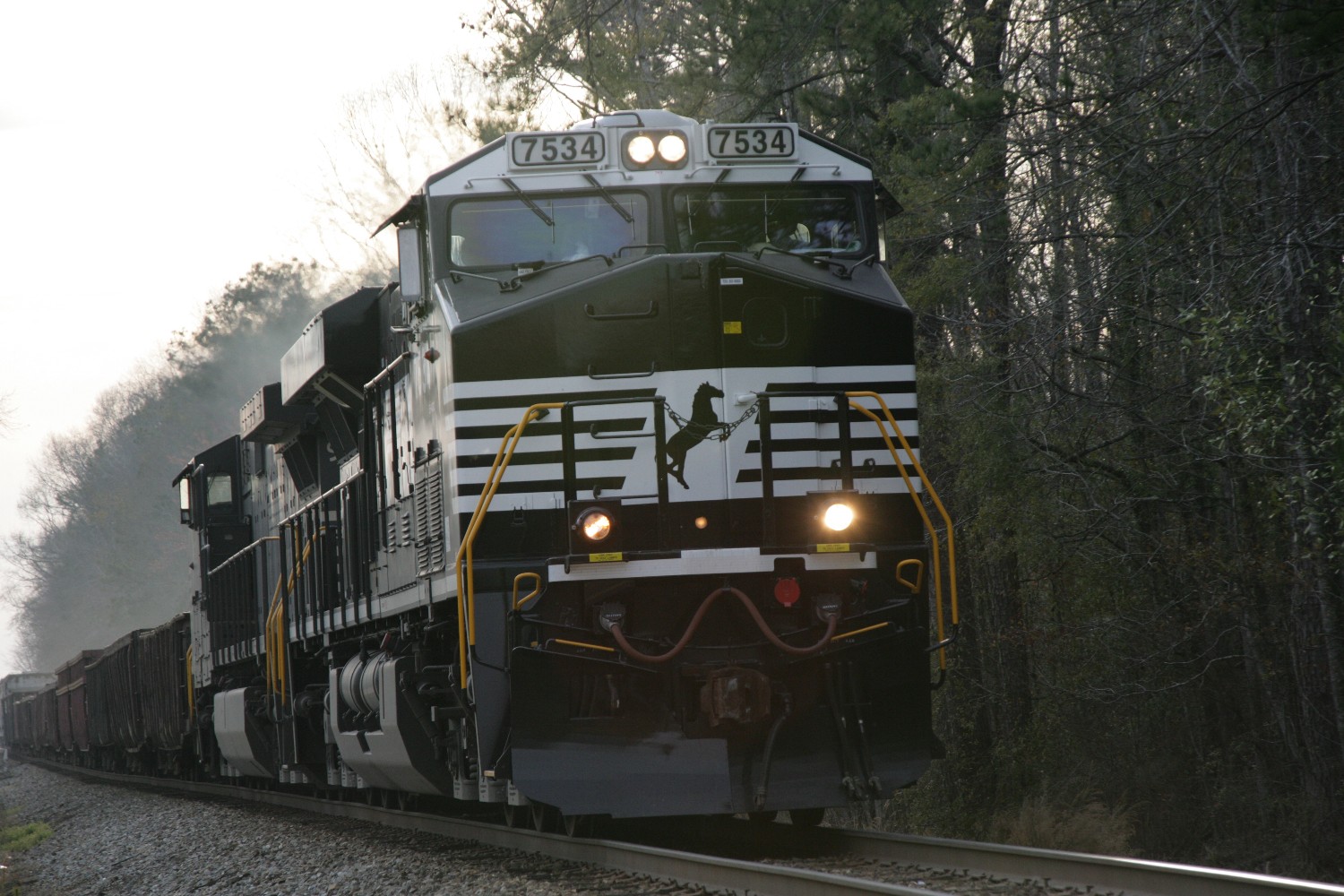 a black and white train traveling through the woods