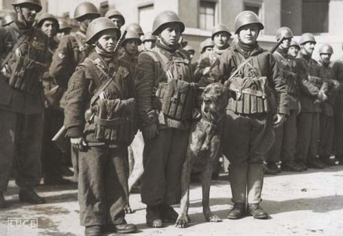 a group of soldiers and their dog pose for a picture