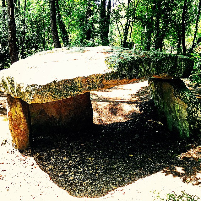a large rock with an interesting shape in the middle of a forest