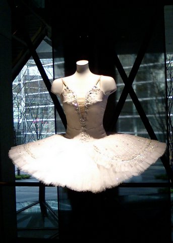 a dress made from an old tutu is shown on display
