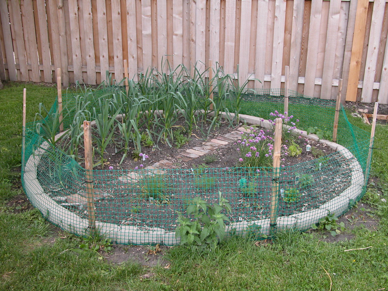 a fenced in backyard is shown with a garden on top