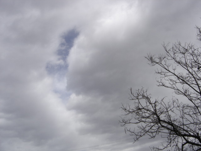 clouds and trees against an overcast sky