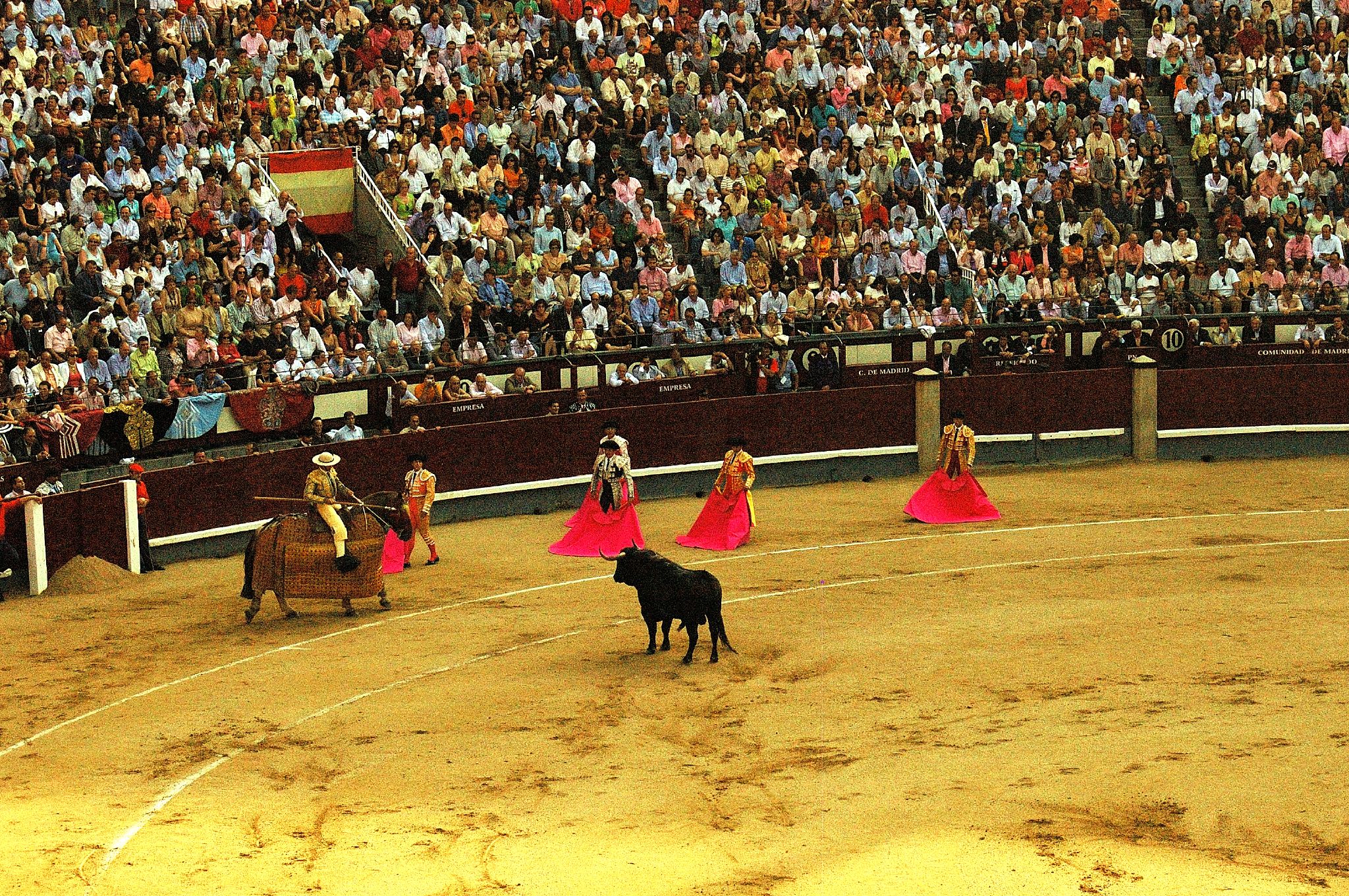 two men ride bulls in a stadium, and a bullgirl stands on one side