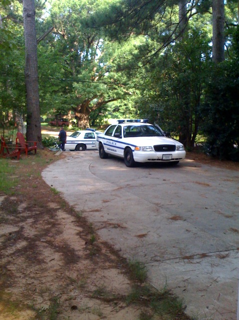 the police car is parked next to a fire hydrant