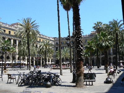 an image of a plaza filled with palm trees