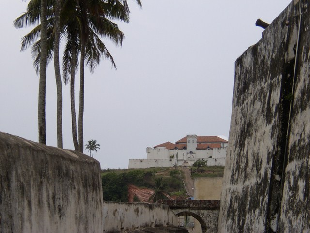 the old wall with the pipes near palm trees