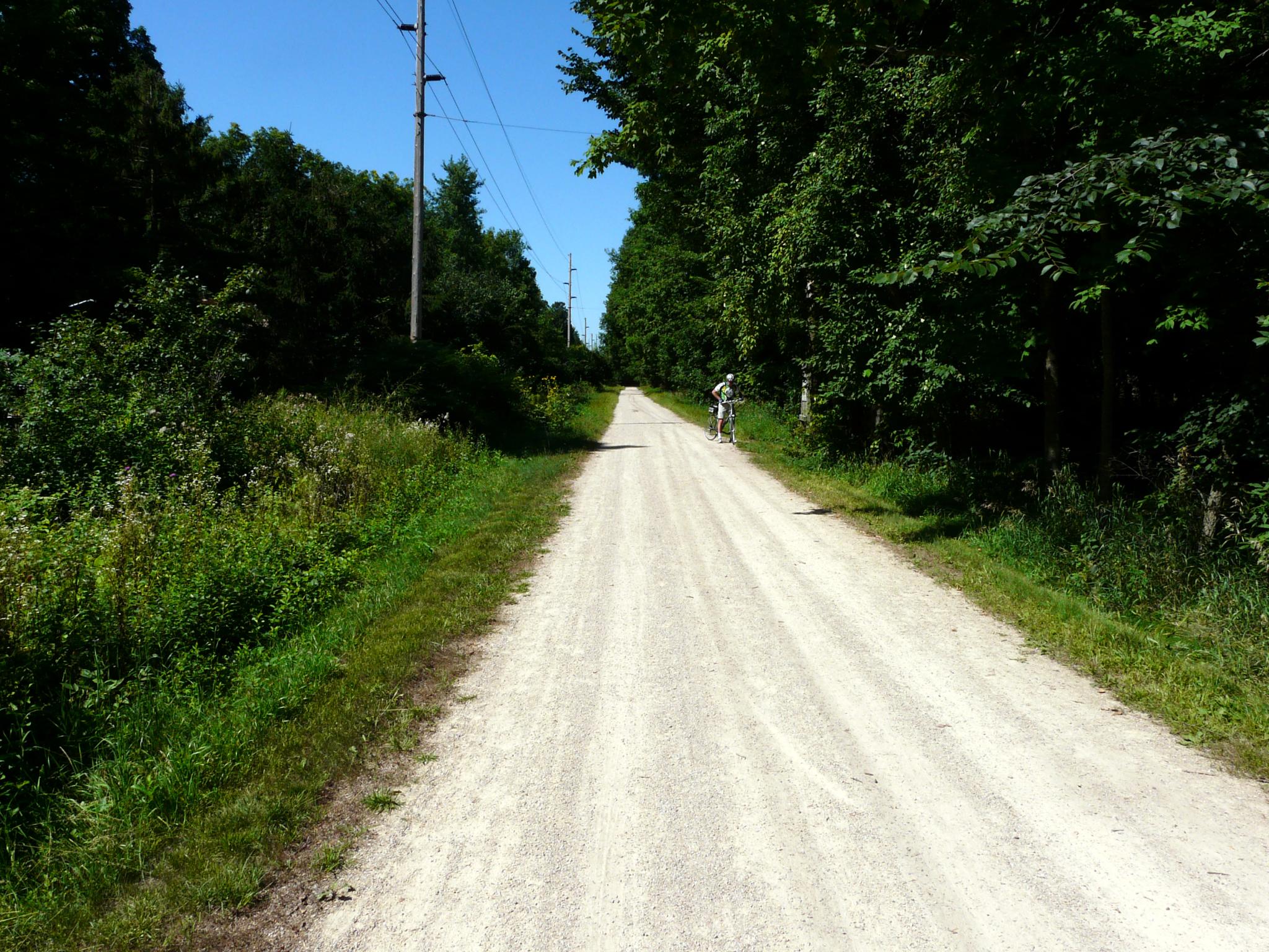 a road near many trees and bushes with two people standing on the side