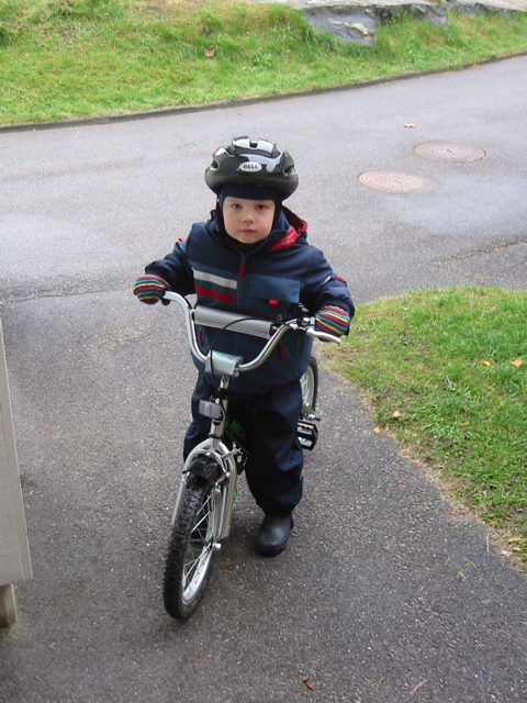 a small boy on his bike riding down the road
