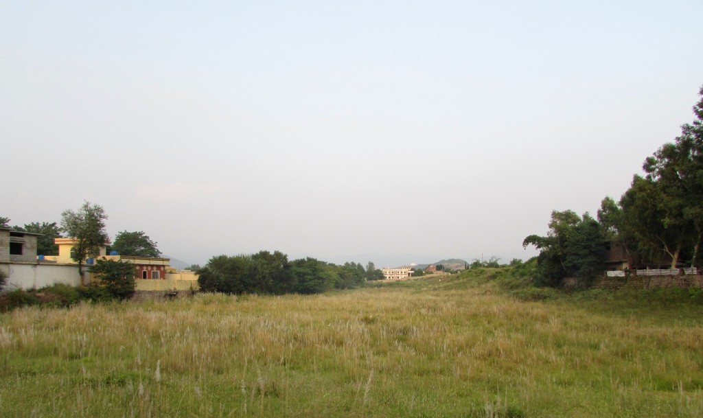 an image of a grassy area where trees can be seen