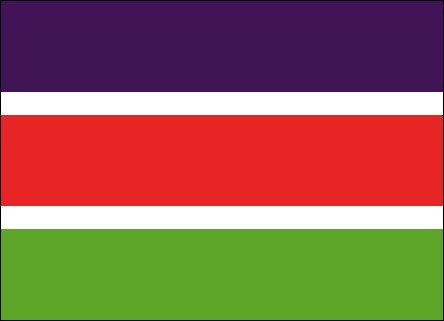 the national flag of south africa