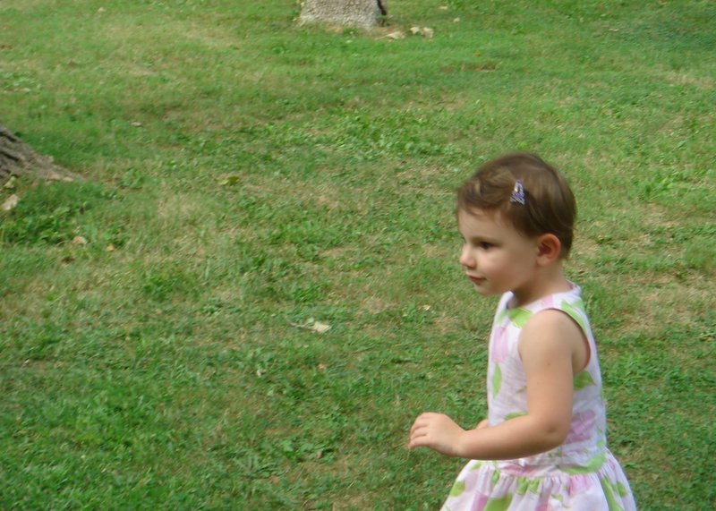 a little girl standing in the grass wearing a dress