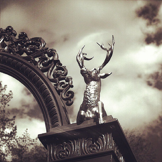 an ornate statue of a stag is perched on top of a sign