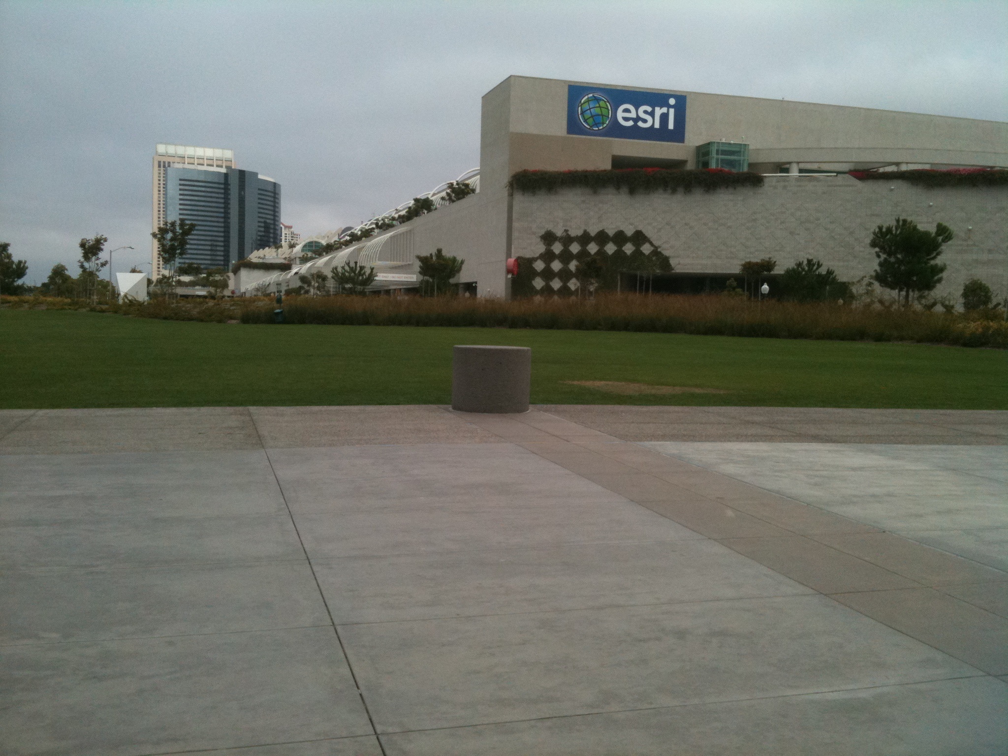an outside plaza that is empty and is surrounded by grass