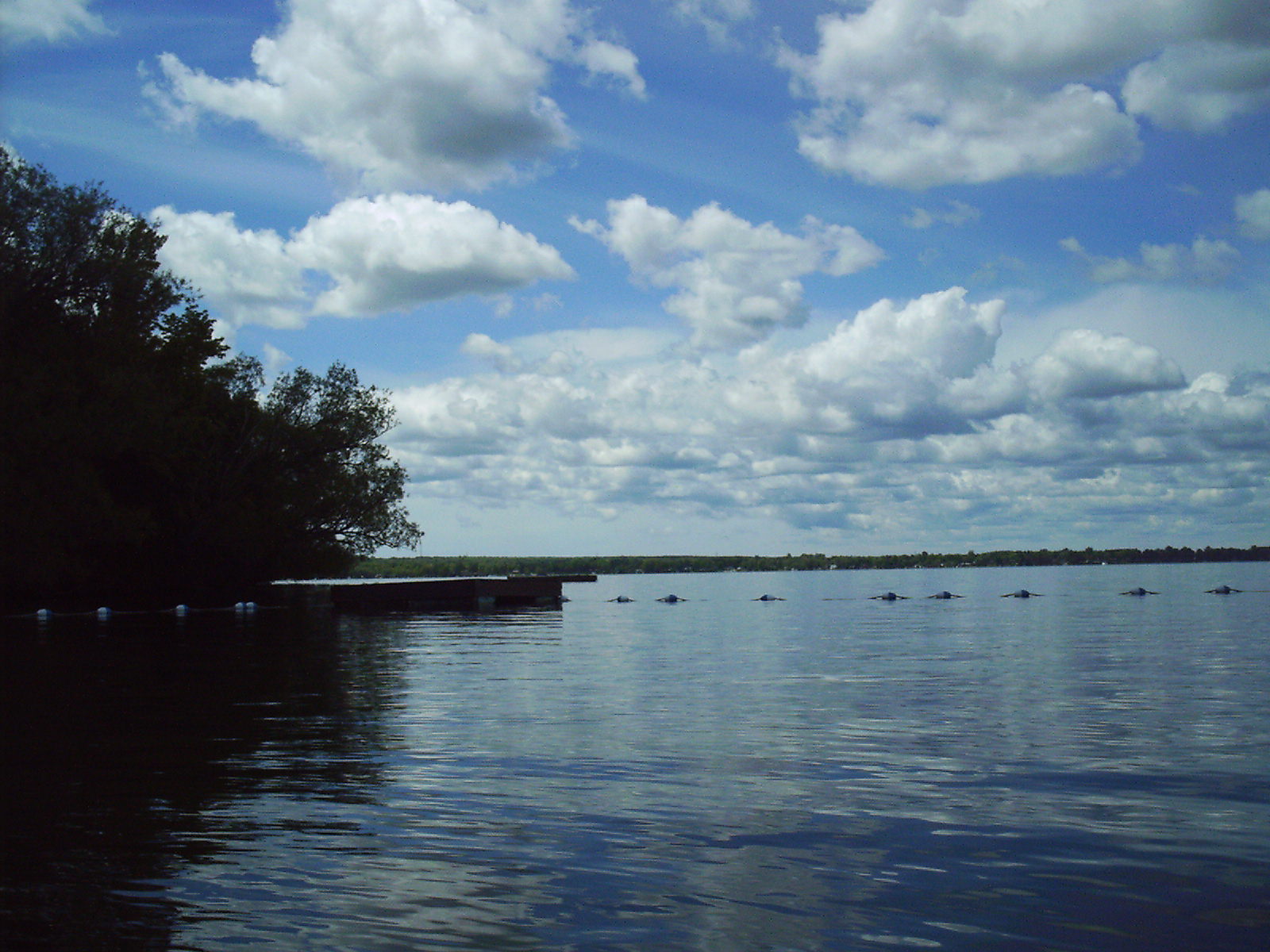 several boats floating on water surrounded by trees