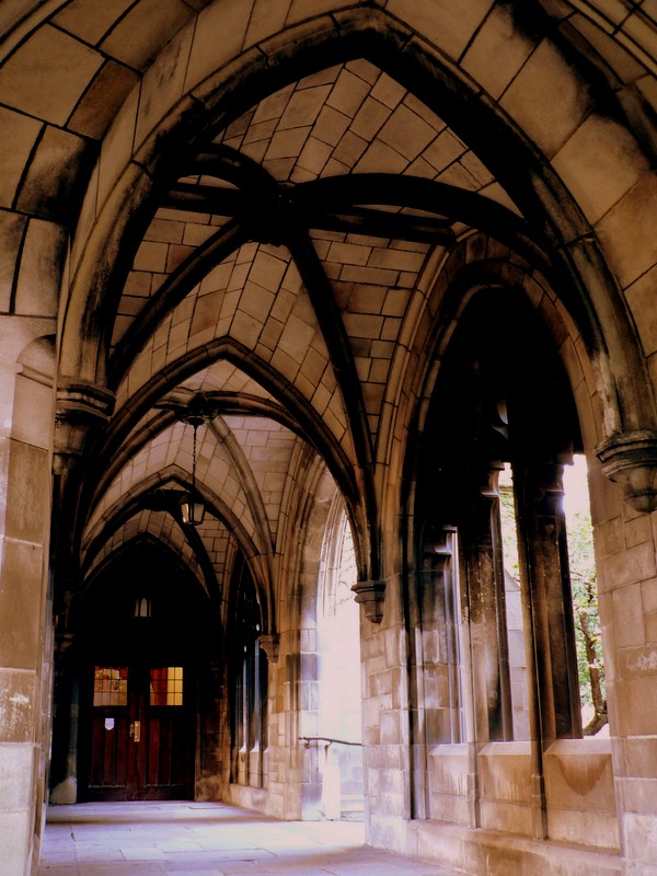 a gothic church is set with arches and columns