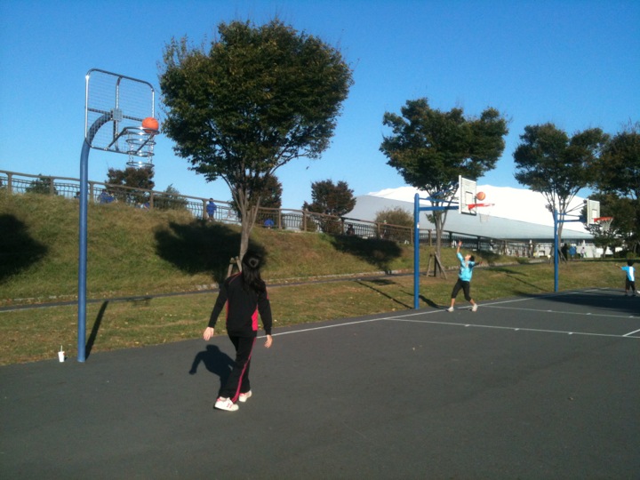 several people playing basketball in a park on a sunny day