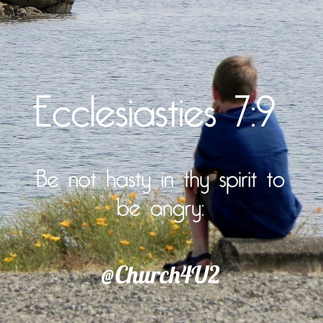 a person sitting on a rock overlooking a body of water with the words, ecletismies 7 9 be not has thy spirit to be angry