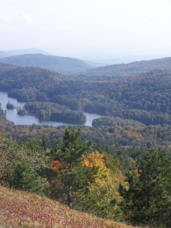 a view of a lake near some trees