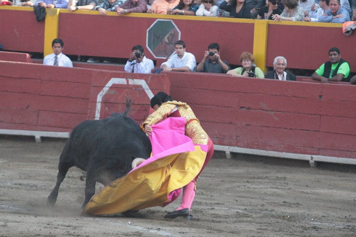 a bullfighter is trying to fight his opponent