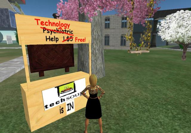 the computer screen displays a sign in a virtual world