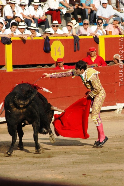 a man in a bullfight is about to grab the man from behind