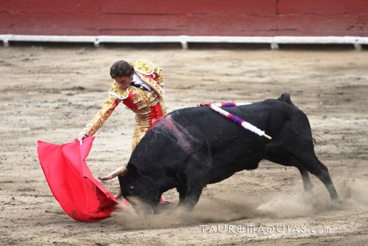 a man riding a bull in an arena