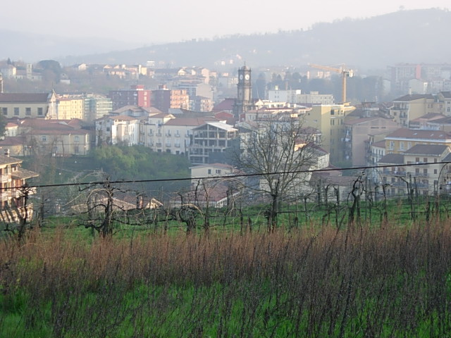 a view of the town is shown through a wire fence