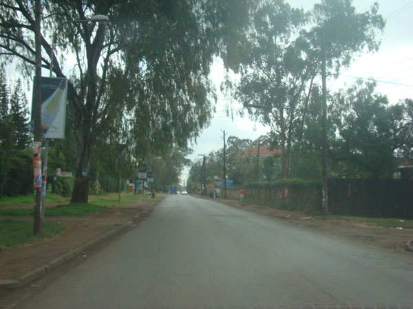 an empty street with signs and trees on both sides