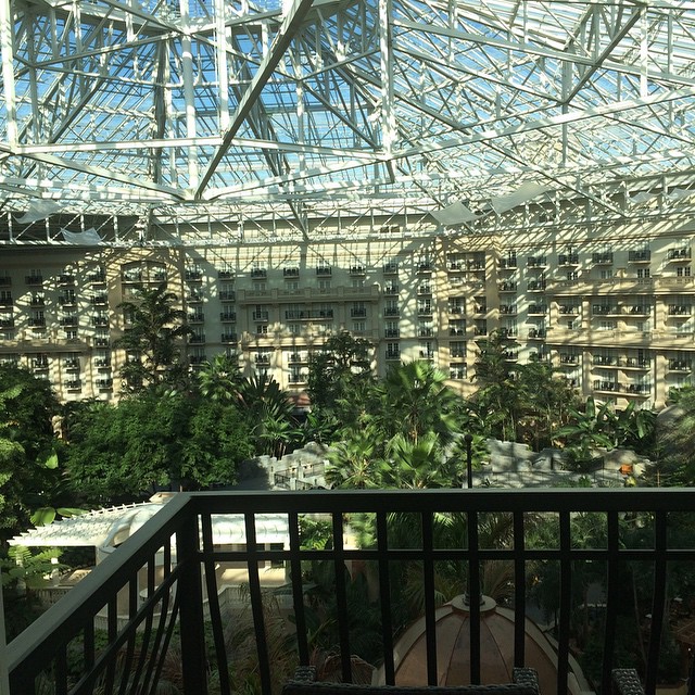 the roof is clear while a view of a large building is seen in the distance