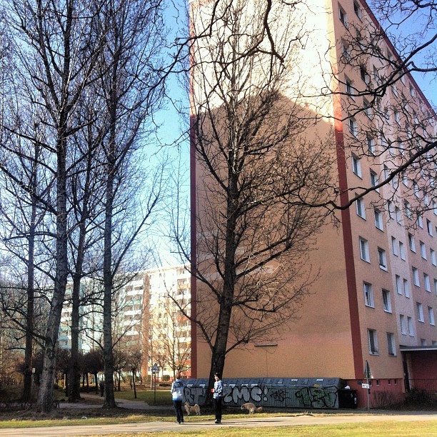 a tall building near some trees and a road