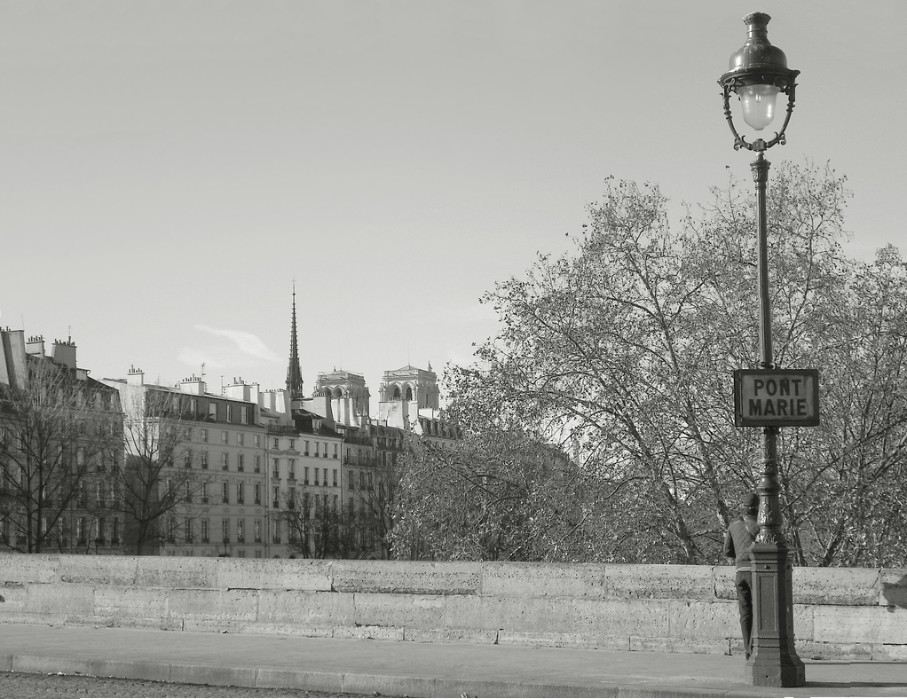 a black and white picture of a lamp post next to a building