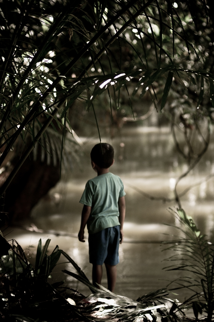 a little boy walking in a stream between trees