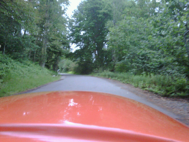 a view from the steering wheel of an orange car on a country road