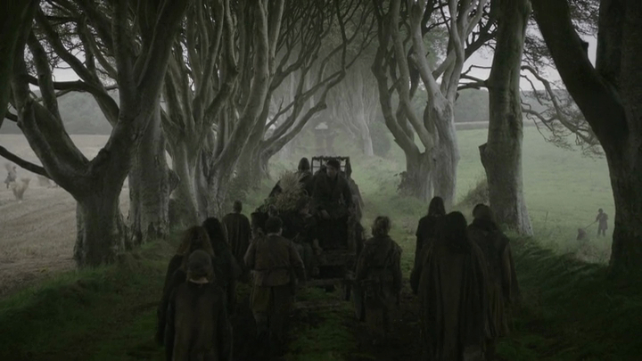 a group of people are in a forest by trees