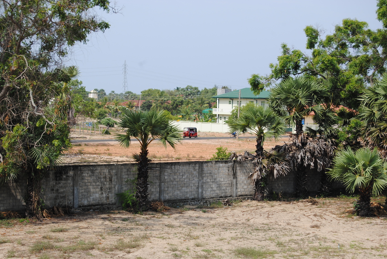 a fenced off area with palm trees and dirt ground