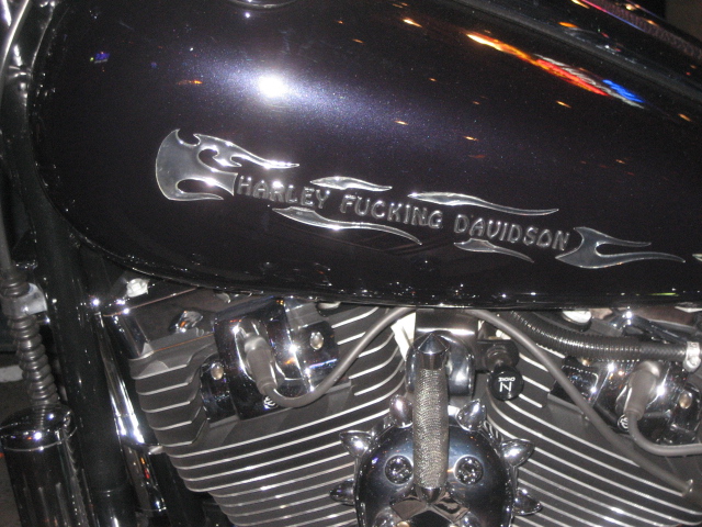 the chrome emblem on the side of a motorcycle