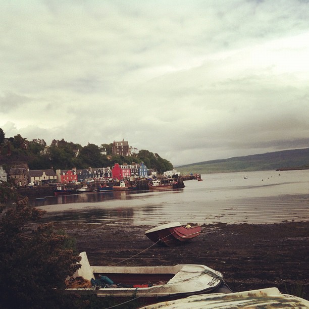 boats in the water near small town buildings and trees