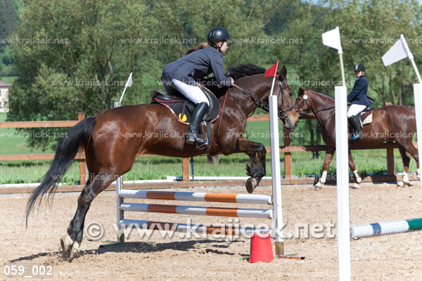 a person is jumping their horse over an obstacle