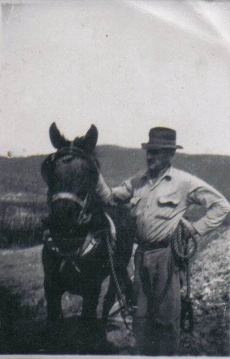 this is an old black and white pograph with a man standing by a donkey