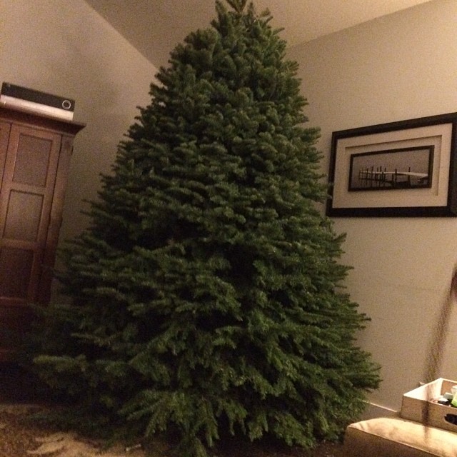 a christmas tree is in a room next to a fire place