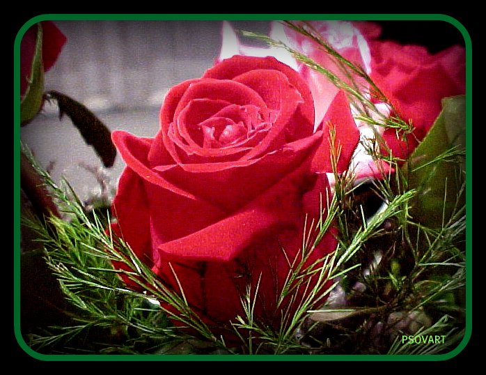 a beautiful rose is surrounded by twigs and grass