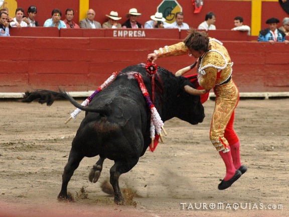 the man is trying to wrestle the bull in the rodeo
