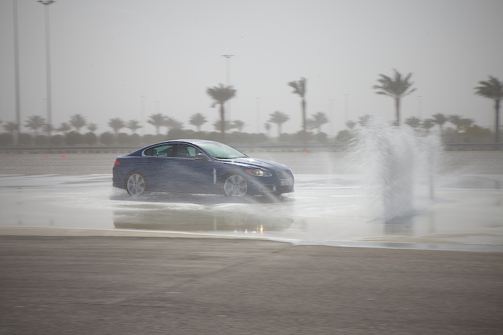 a blue car driving in front of a tall palm tree