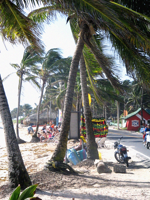 a motorcycle parked in the shade next to palm trees