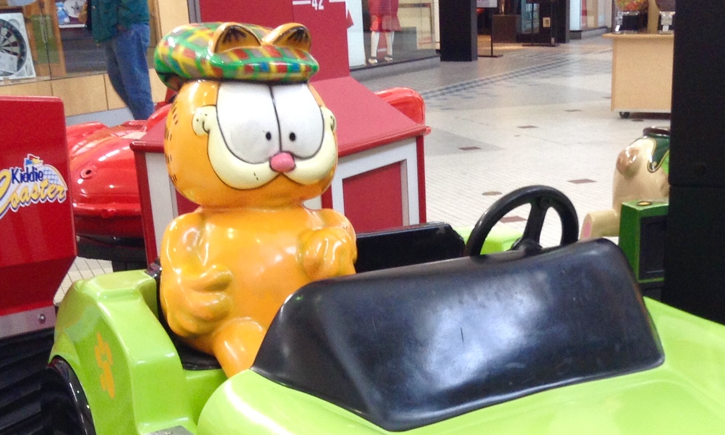 there is a cat in a toy car on display