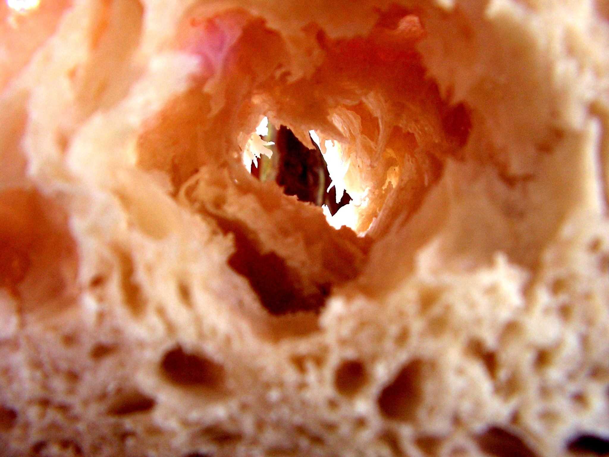 a close up po of an egg in the bread