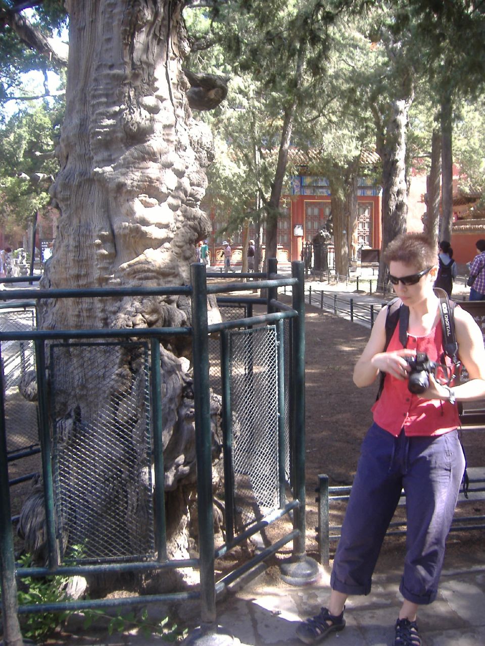 a woman is standing near a tree taking a po