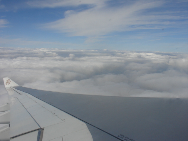 there is a picture of the wing of an airplane