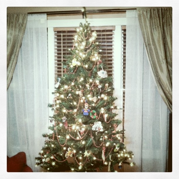 a christmas tree decorated with lights and ornaments